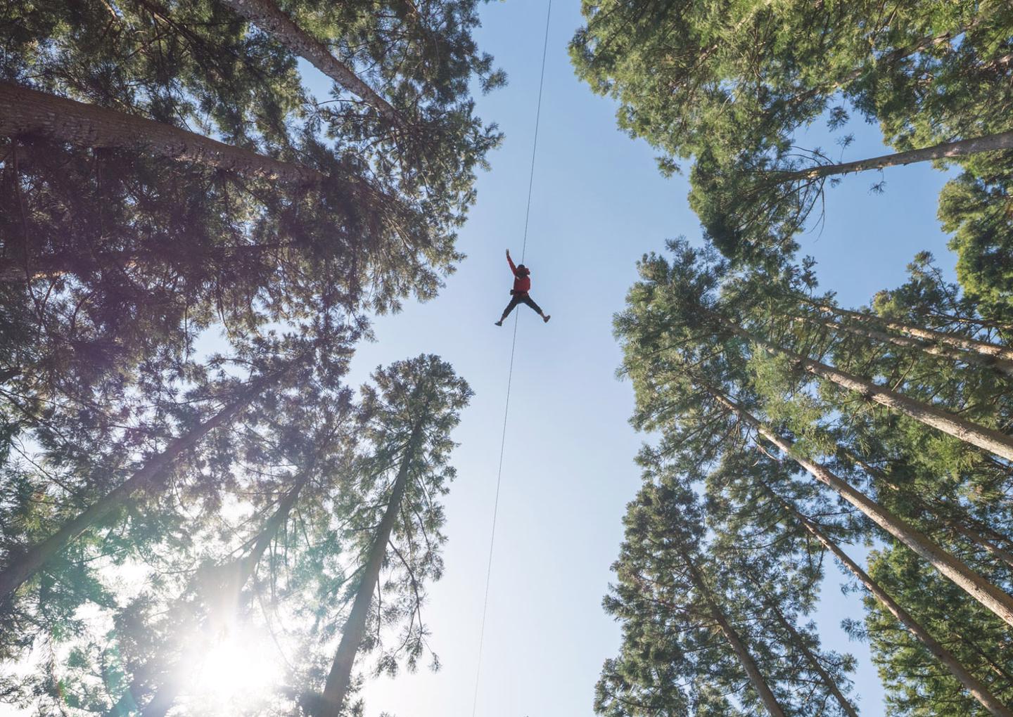 Zipline